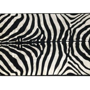 Koberec, vzor zebra, 100x140, ARWEN R1, rozbalený tovar